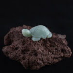 "Tortue Jade"